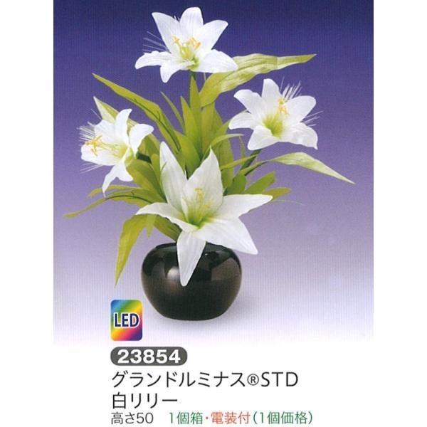 ~ led Oh~iX(R)STD [ LED _ ~ RpNg ~ ~j