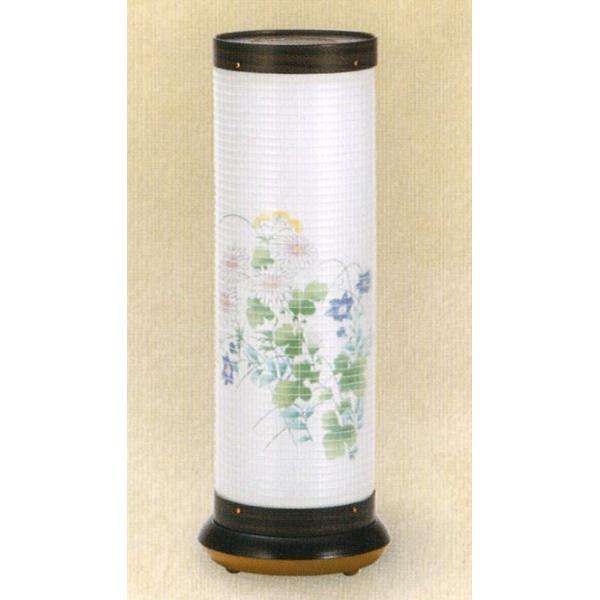 ~ n  h570 40WNA ] _ ~ RpNg ~ ~j