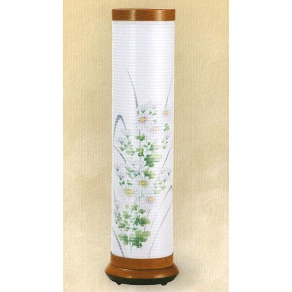 ~ n  ₫750e 40WNA ] _ ~ RpNg ~ ~j