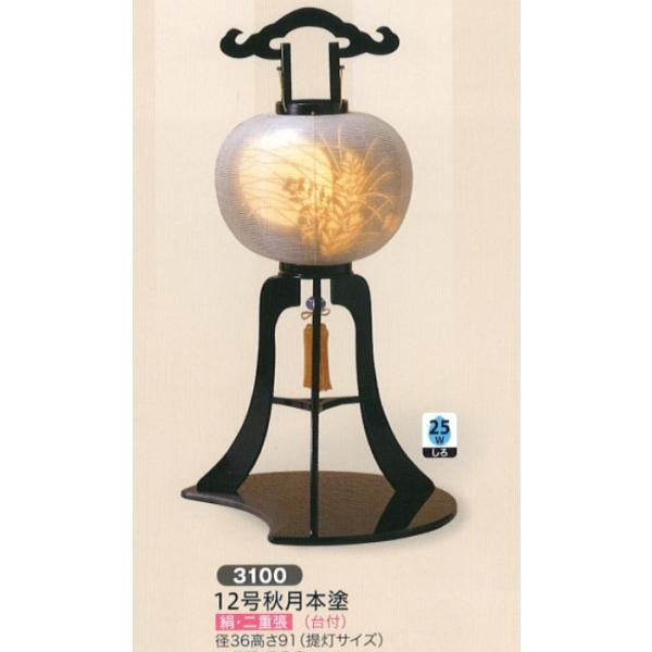 ~ n 12H{h 25W(t) _ ~ RpNg ~ ~j