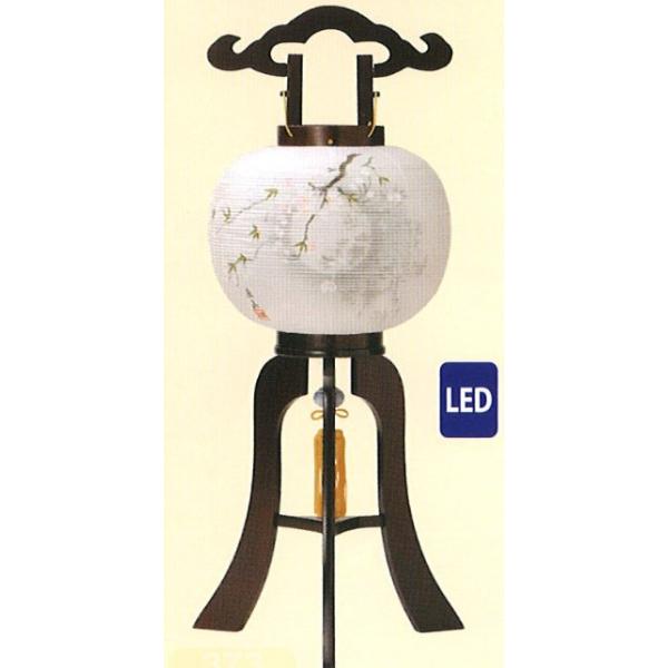 ~ led ؍s 10ԃC LED _ ~ ~