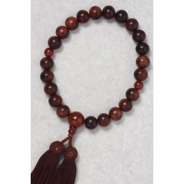  cPVh22ʕЎ胁mEd[ 8D5Ԃ yIuWFEG G݁z