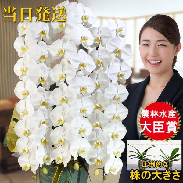  ց@Ӓ 3{IA Аݗ I[v j X^h    V   @ P  