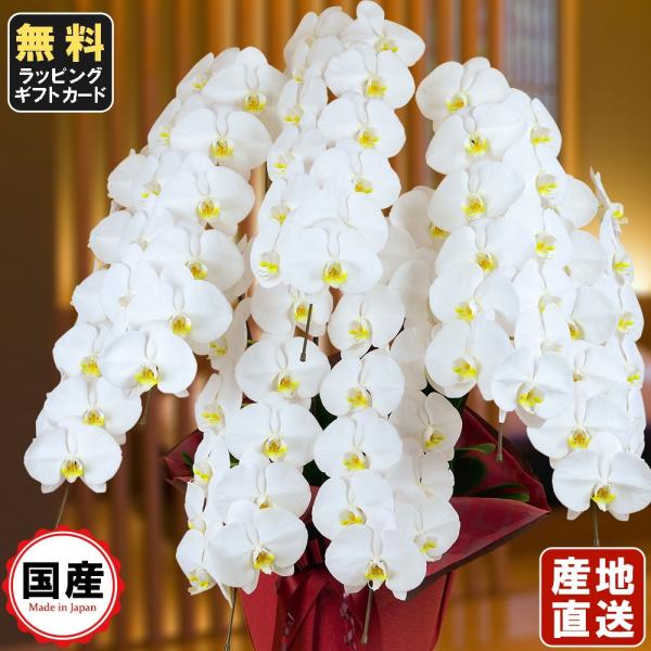  Ӓ 7{84ֈȏ  Аݗ I[v j X^h  R{ T{   V   @ P  