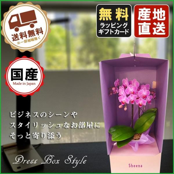 ~jӒ Mtg Ӓ ~j Ӓ ~fB Ӓ 4A L2{ hXP[X  v[g JXj ̓ ̓