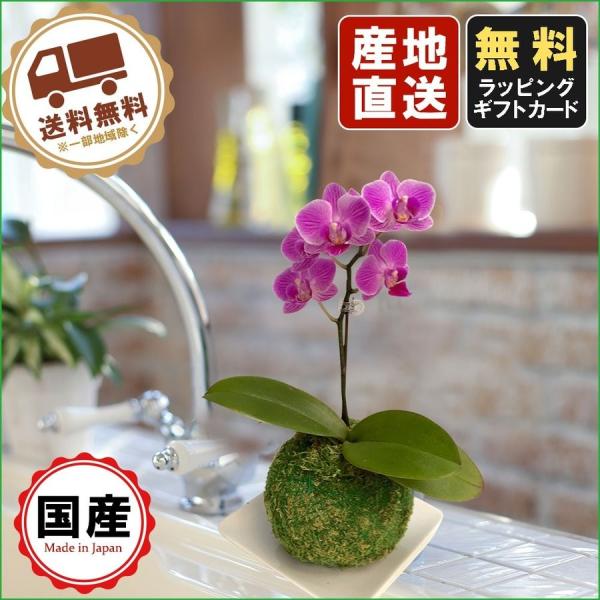 koubou-tensho_siina00ko03f100