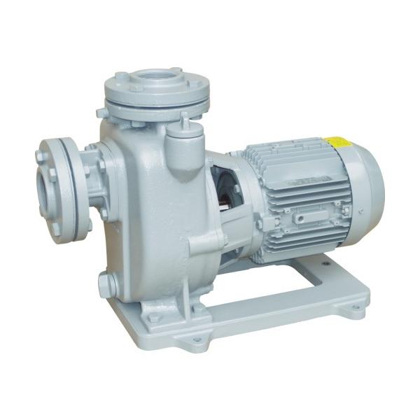 60hz セルプラポンプ全閉外扇屋外形電動機付店晃栄産業寺田水回り 配管セルプラポンプ 晃栄産業mpj3 62 21e 60hz4068 大量入荷人気爆発 の