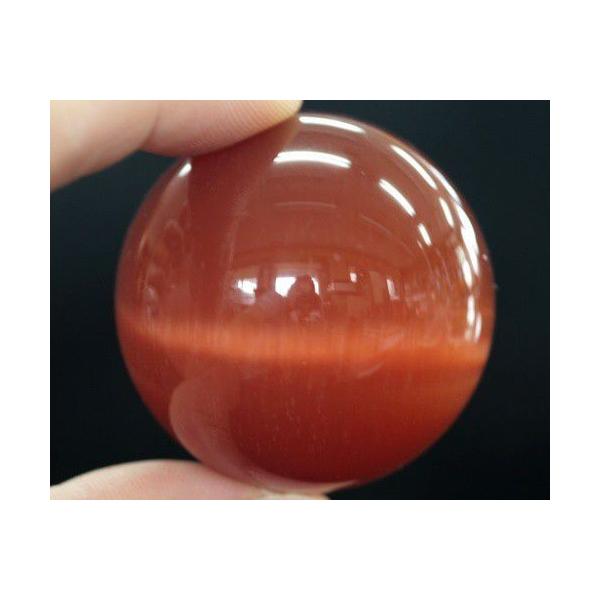 ۋʁ@LbcAC@bh@lH΁@Lڐ΁@J^ObY@CeA@@u@p[Xg[