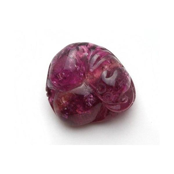 y_ggbv sNg} @ RE ɂ傢 N Z\ O^ ^ Or^