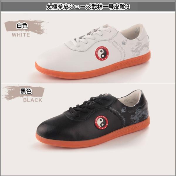 Ɍ / ɌV[Y / pV[Y / Jt[V[Y / @_炩AʋCǂėpɂ߁IɌV[YEɌV[Y шꍆC3