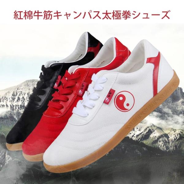 Ɍ / ɌV[Y / pV[Y / Jt[V[Y / @_炩AʋCǂėpɂ߁Igǋ؃LpXɌV[Y