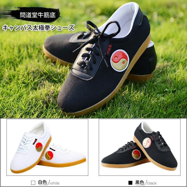 Ɍ / ɌV[Y / pV[Y / Jt[V[Y / @_炩ɓރV[YIɌE⓹ؒLpXɌV[Y