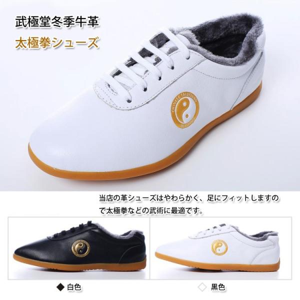 Ɍ / ɌV[Y / pV[Y / Jt[V[Y / @_炩ɓށIɓ ~GvɌV[Y