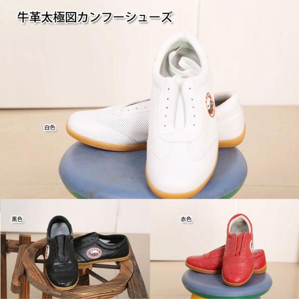 Ɍ / ɌV[Y / pV[Y / Jt[V[Y / @_炩ɓށIvɐ}Jt[V[Y