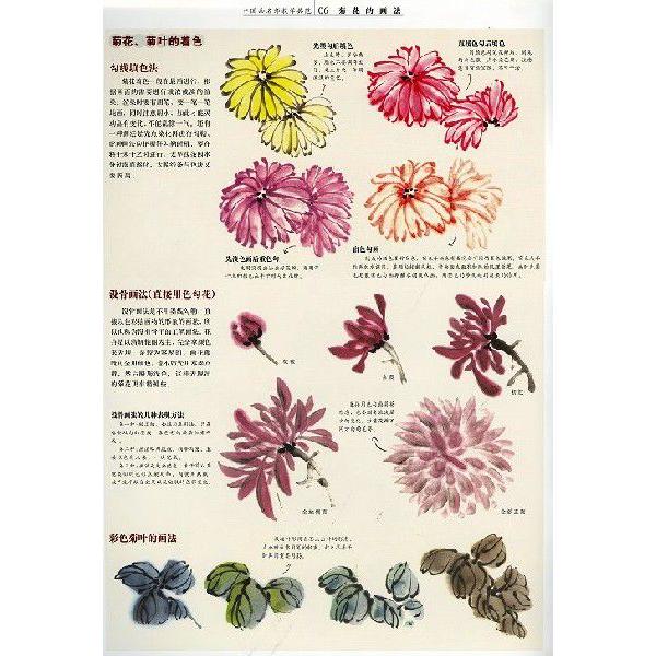 日本画集 墨彩画集 俳画 絵手紙 日本画 美術画集 参考本 菊の花の描き方 Buyee Buyee 提供一站式最全面最专业现地yahoo Japan拍卖代bid代拍代购服务 Bot Online