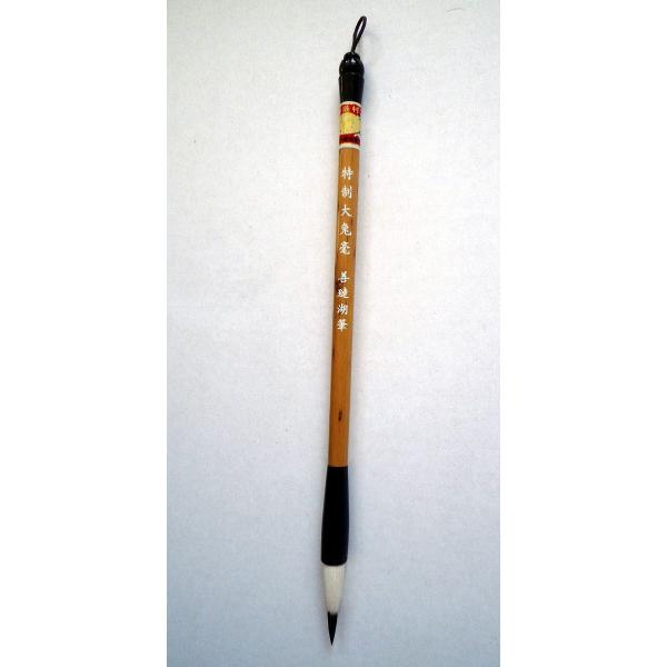 M / M / M /  / n /  / nʉ / ʉ / { /  / eѕM