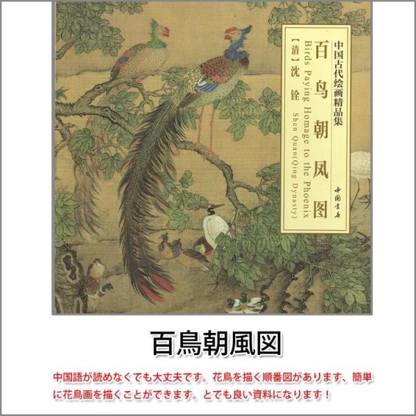 n / nW / W / nʉ / G莆 / { / [S}]