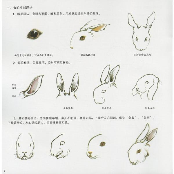 水墨画 水墨画集 中国画集 墨彩画 絵手紙 日本画 参考本 兔羊 Buyee 日本代购平台 产品购物网站大全 Buyee一站式代购bot Online