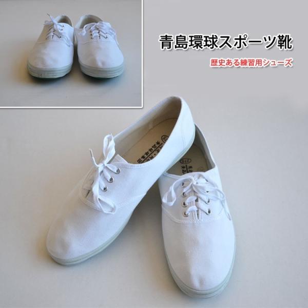 Ɍ / ɌV[Y / pV[Y / Jt[V[Y / _炩ɓށIK≉ɂ͌ȂIX|[cC