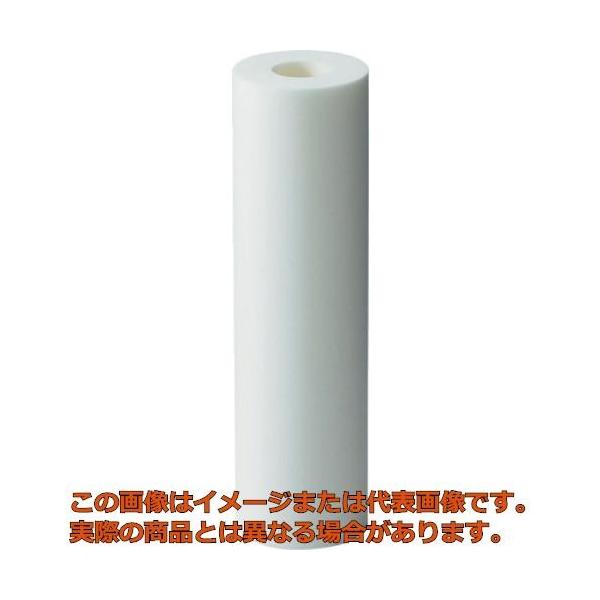 ＡＩＯＮ カネフィールＲ ２５０ｍｍ 公称精度５μｍ （２本／パック
