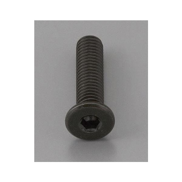 エスコ EA949MG-310A M3 x10mm 六角穴付ボルト(超低頭/クロメート/4本)