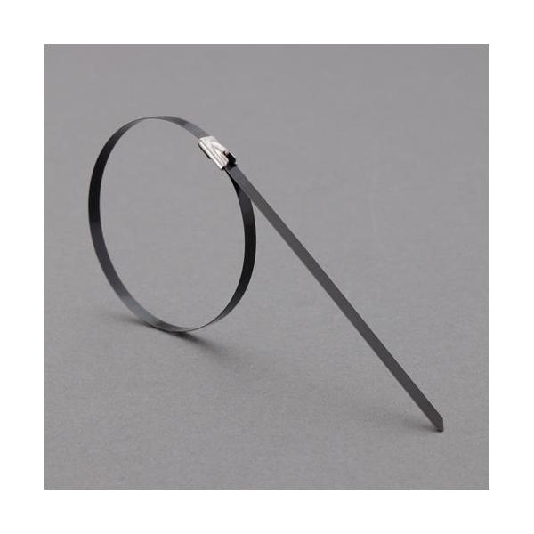 エスコ EA463FW-221 7.9x300mm 結束バンド(SUS316/コーティング/10本