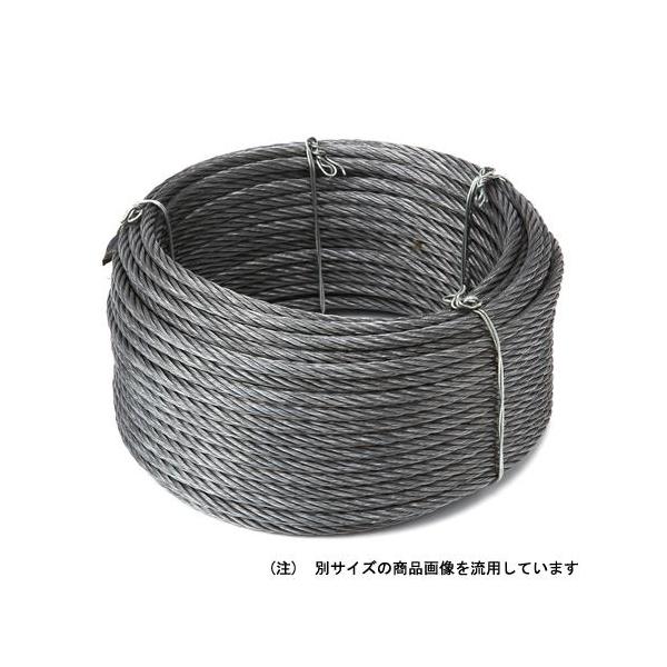 自由な長さに使用出来るカット用ワイヤーです。[用途]荷物の固定・引っ張り。[機能]特殊メッキ仕様(G/O)で荷物や手などを汚しません。10M巻きでユーザーの用途に合った長さで使用できます。[仕様]●サイズ：2mm×10m。…