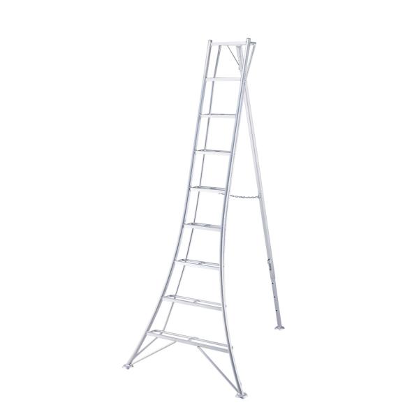 nZK |Orr O[Xebv 9 GSC-270a (ꕔnz萻i)