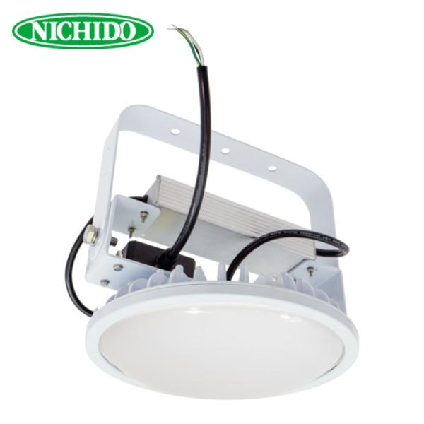 日動工業 NICHIDO L150V2-P-HW-50K ハイディスク150W 電源装置一体型 昼白色 吊下げ型 ワイド (1台)