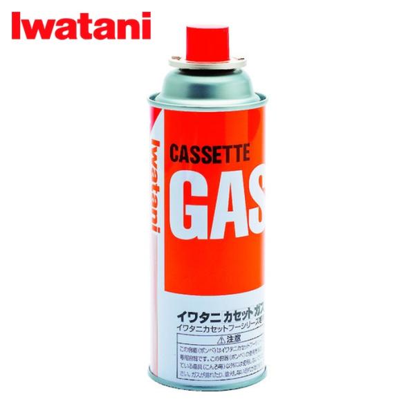 Iwatani（イワタニ） 岩谷産業 カセットガスボンベ 内容量250g (1本