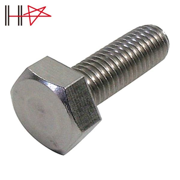 他サイト： ダイドーハント HP ステンレス六角ボルト 5X50 2本入 (1袋) 品番：10184561の商品画像