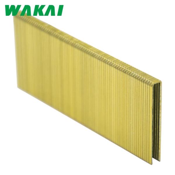 WAKAI 若井産業 フロアーステープル 4mm幅 4×38 (1箱) PT438F