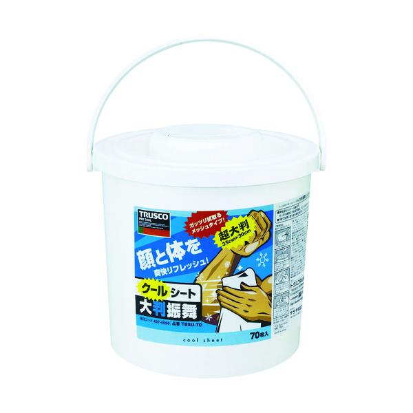 【仕様】●シートサイズ(mm)：300×350●香り：無香料●タイプ：本体【型番】TBSU-70　/　TBSU70【商品コード】4374550※お問い合わせの際はこちらの商品コードをお伝えください