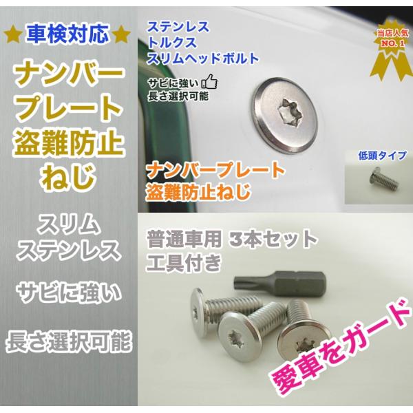 工具付 盗難防止ネジ 3本セット ステンレス トルクス スリムヘッド