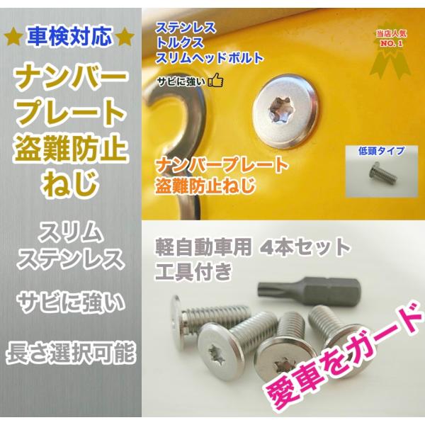 工具付 盗難防止ネジ 4本セット ステンレス トルクス スリムヘッド