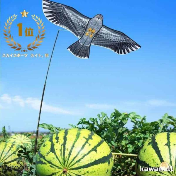 鳥よけ カイト 鷹 (ポール竿付) 軽量丈夫 防鳥具 鳥追い 畑 植物保護 農業用 カイト鷹 1.5m凧 4mポール