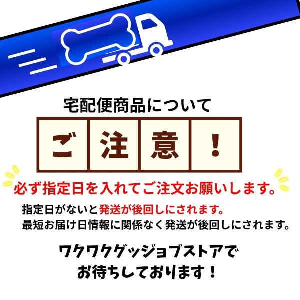 kouizam_clear-1001_1_d_20250901121545