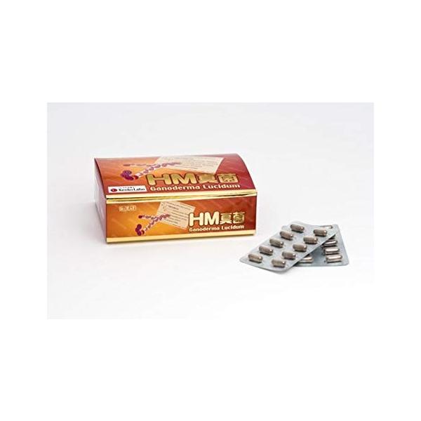 送料無料 2個セット 和漢生薬研究所 HM真菌 250mg60カプセル