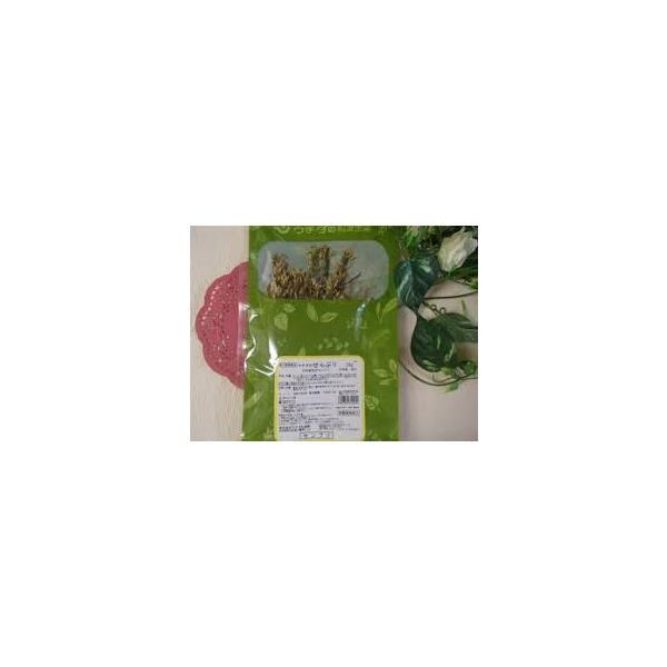メール便限定送料無料！！せんぶり・全形　10ｇ【ウチダ和漢薬】【日本産】（ センブリ ）
