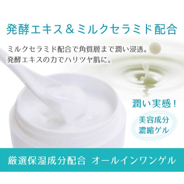 オールインワンゲル 美人どうふ オールインワンゲル80ｇ しっとり乾燥を防ぐ ラクトフェリン ミルクセラミド 発酵エキス 無添加 今ポイント5倍 Buyee Buyee Japanese Proxy Service Buy From Japan Bot Online