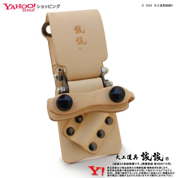 koumutenn-seiji_iytbkdx-n-r