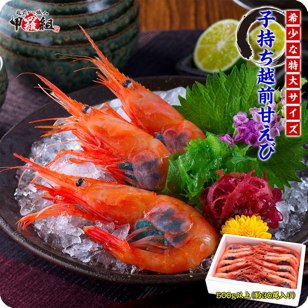 子持ち 越前 甘えび 大サイズ500g 30尾前後 刺身 船上凍結 福井県産 甘エビ 業界最安挑戦 まとめ買いクーポンあり Buyee Buyee Japanese Proxy Service Buy From Japan Bot Online