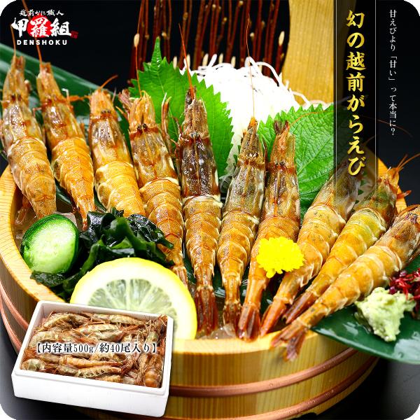 エビ えび 幻の越前 がらえび 500g 約40尾 越前かに職人 甲羅組 通販 Paypayモール