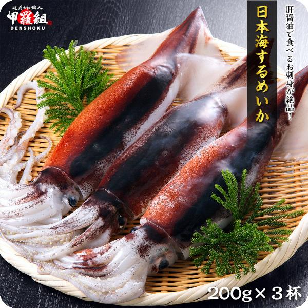 刺身用するめいか3杯入り/約600g前後(約200g前後×3ハイ)※船上冷凍のためサイズ選別バラツキあり スルメイカ マイカ 真いか :200030:越前かに職人 甲羅組 - 通販 - Yahoo!ショッピング 刺身用するめいか3杯入り/約600g前後(約200g前後×3ハイ)※船上冷凍のためサイズ選別バラツキあり スルメイカ マイカ 真いか :200030:越前かに職人 甲羅組 - 通販 - Yahoo!ショッピング
