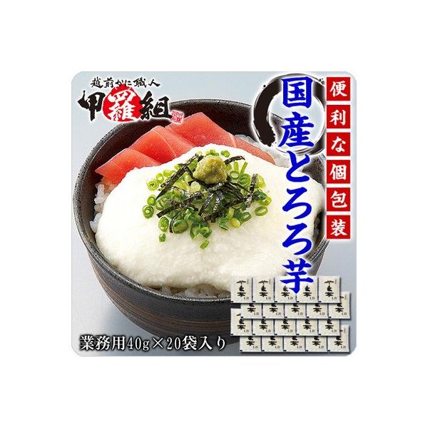 ֗ȌⓀۑOKÎǉzȂɂȂ􍑎YƂiYj40g×20ܓ ܈  |Cgp 