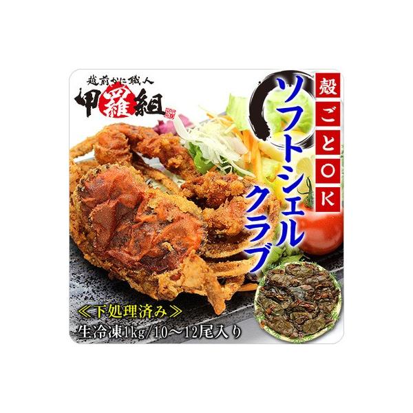 Jj  I  \tgVFNu Ɩp 1kg 10`12 Ⓚ ς  }O[uNu EI FF |Cgp 