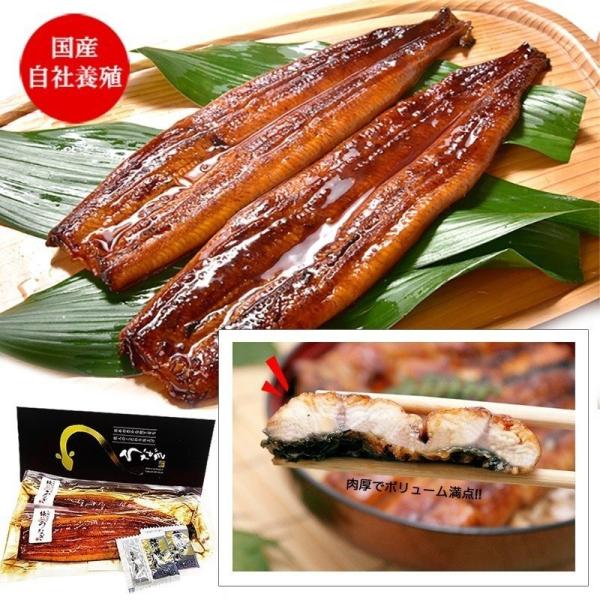 傤ȂĂ 2Zbg(280g×2) 4`5lO Y F{Y З{B Mtg j j ϔ  蕨 Mtg O v[g  ̓