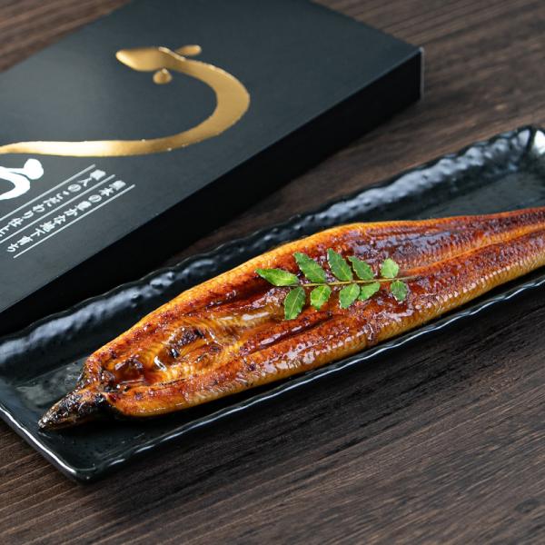 うなぎ 国産 うなぎ有頭蒲焼き 有頭鰻 熊本県産 約110g 化粧箱入 長焼き ギフト プレゼント お歳暮 誕生日 お祝い 土用 丑の日 【送料無料】