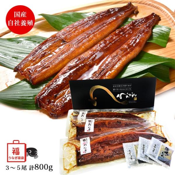 V̊Ă e800g  (3`5) Y З{B  Ȃ F{Y  Mtg O v[g bsOs