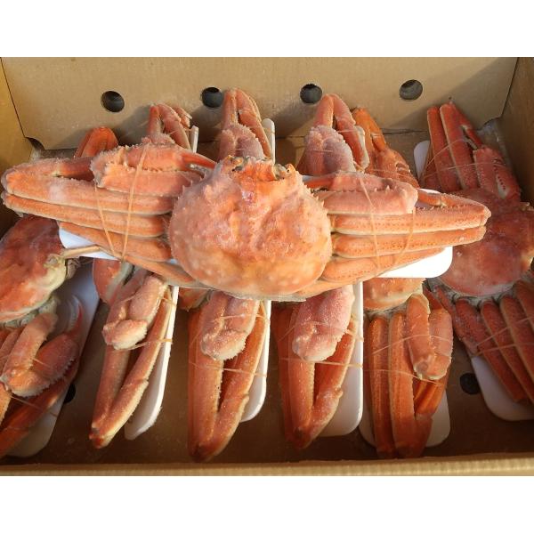 【原材料名】ずわい蟹自然解凍でお召し上がりください。【賞味期限】冷凍保存で1ヶ月。家庭用冷凍庫の場合、業務用冷凍庫に比べ保存温度が−５〜−１０℃と高いため、冷凍焼けや品質が損なわれる場合があります。なるべくお早めにお召し上がりください。【配...